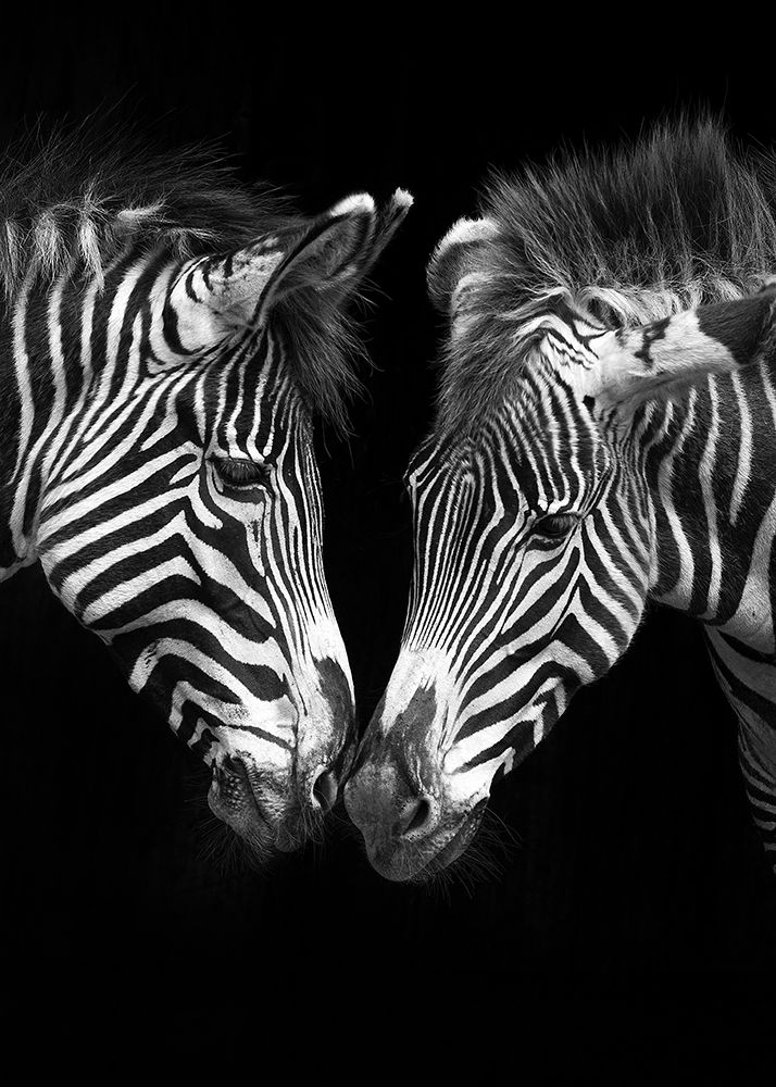 The Nearness of You art print by Marina Cano for $57.95 CAD