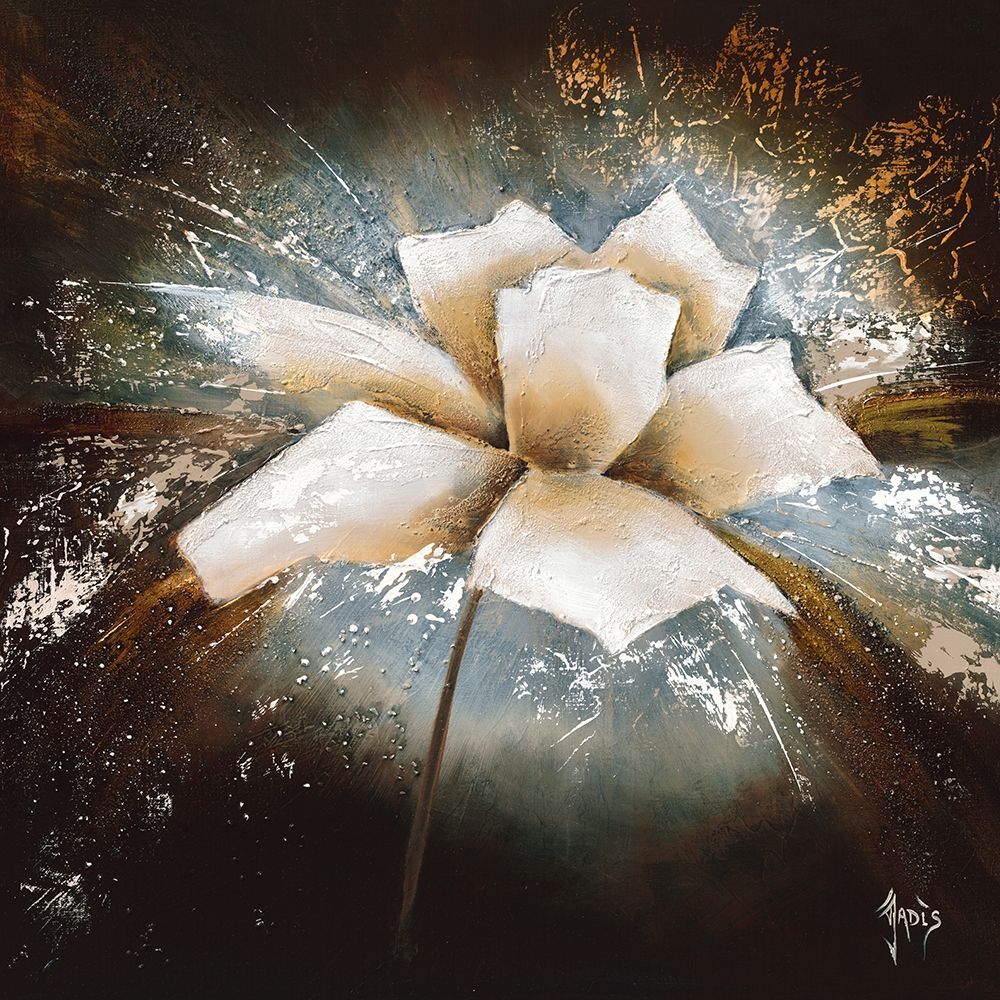 Fleur d etoile I art print by Jadis for $57.95 CAD