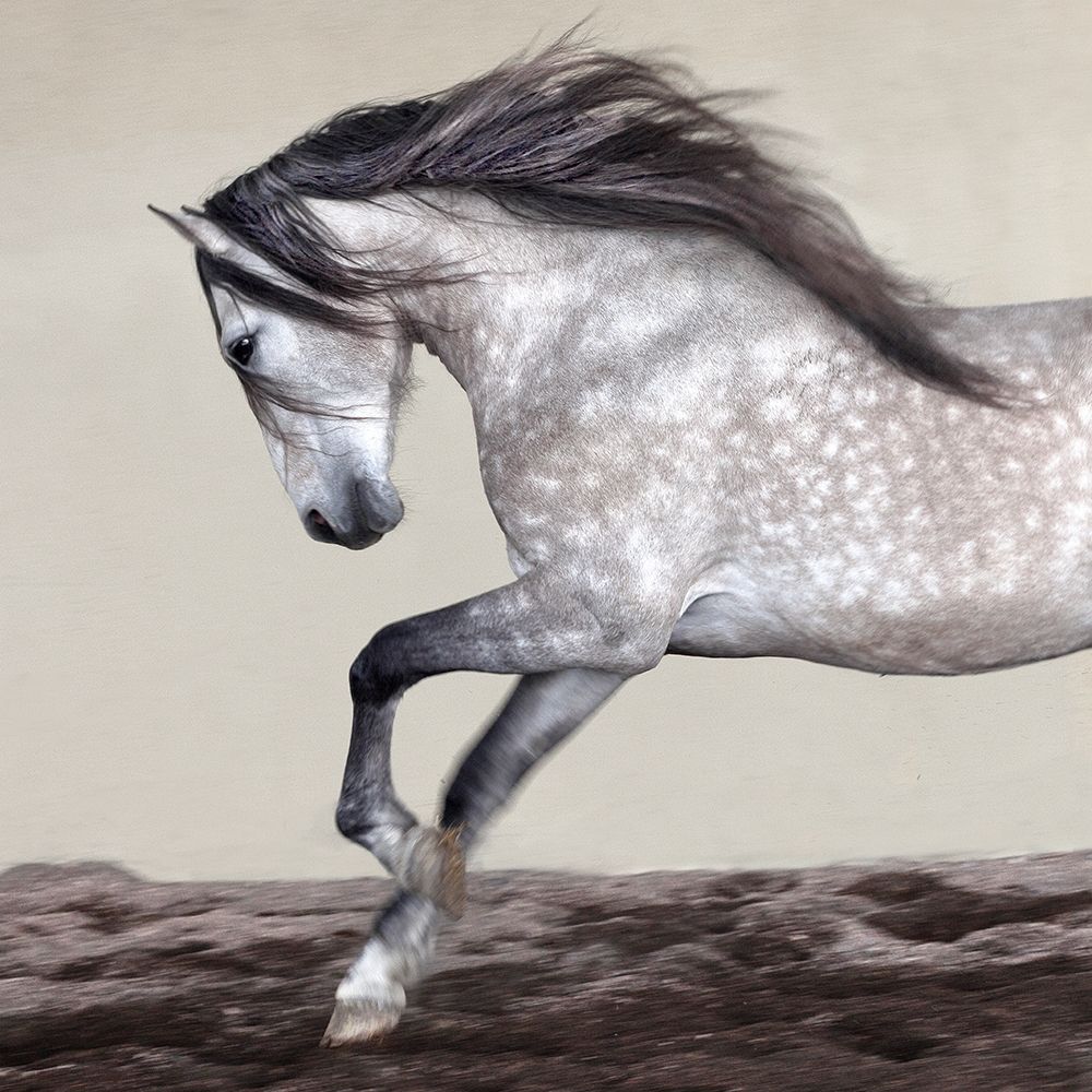 Perseverance art print by Jorge Llovet for $57.95 CAD