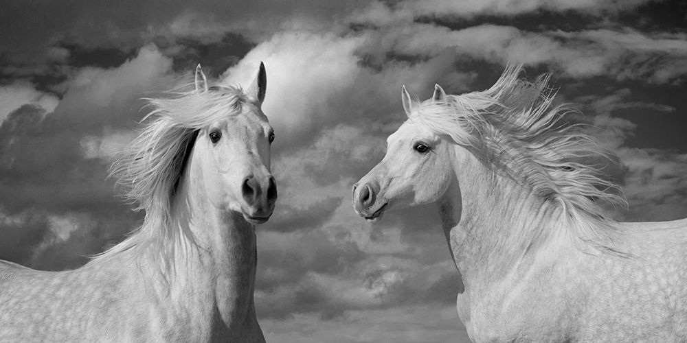 A breezy Day art print by Jorge Llovet for $57.95 CAD