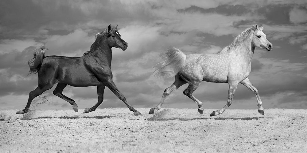 Horse Dancers art print by Jorge Llovet for $57.95 CAD
