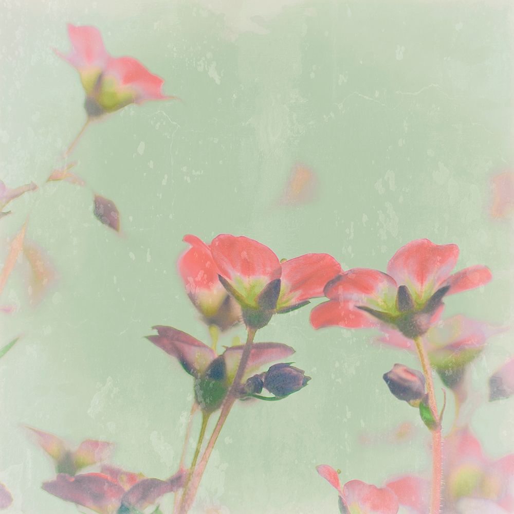 Romantic Meadow art print by Tom Lambert for $57.95 CAD