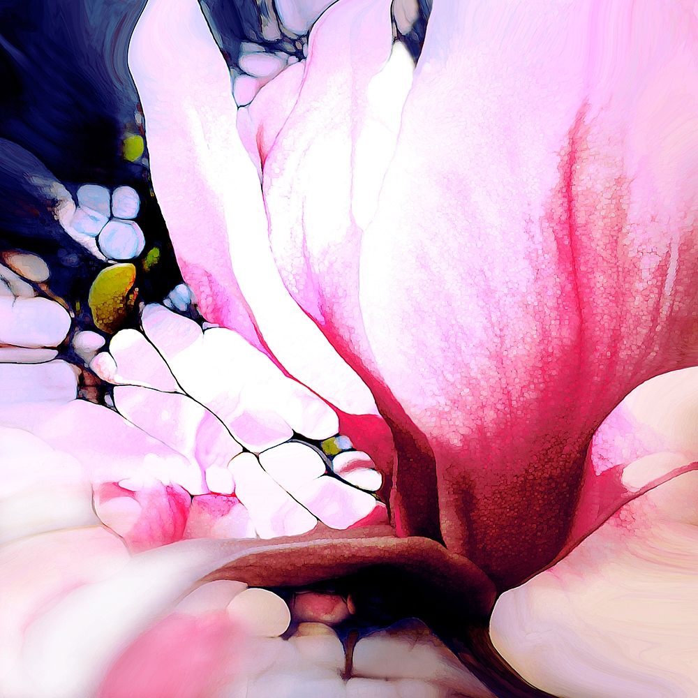 Magnolie art print by Renate M. Schmidt for $57.95 CAD