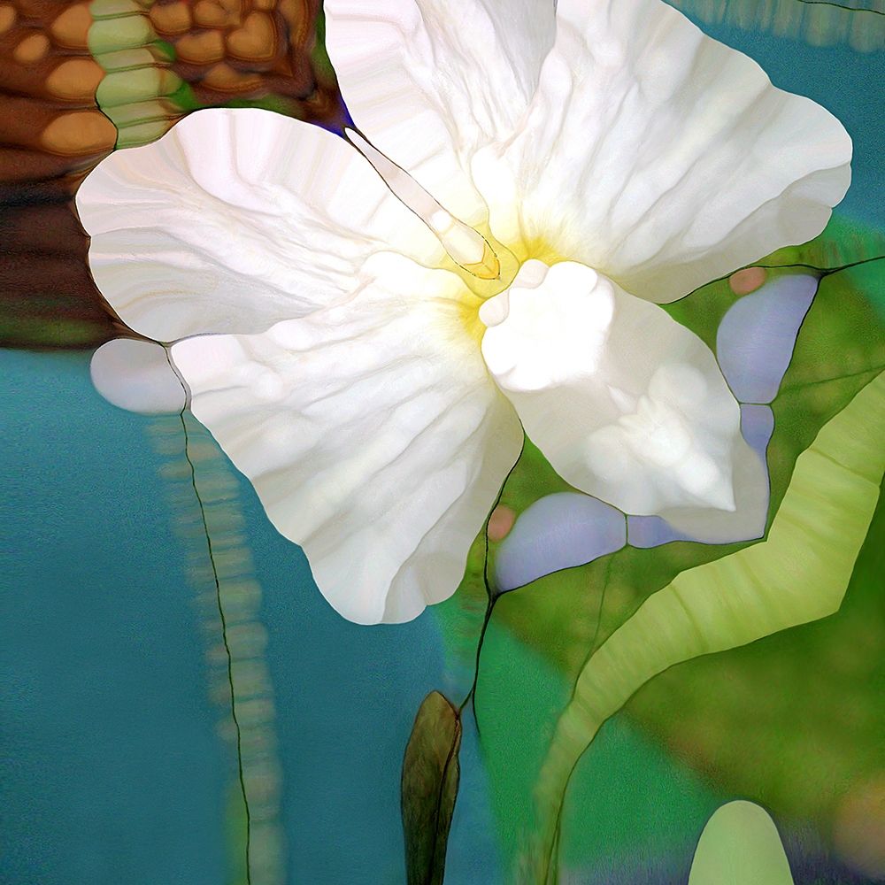 Filigrane Welt art print by Renate M. Schmidt for $57.95 CAD