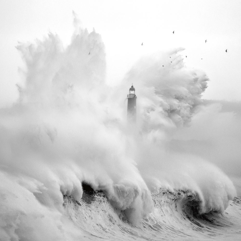 Birds in the Storm art print by Marina Cano for $57.95 CAD