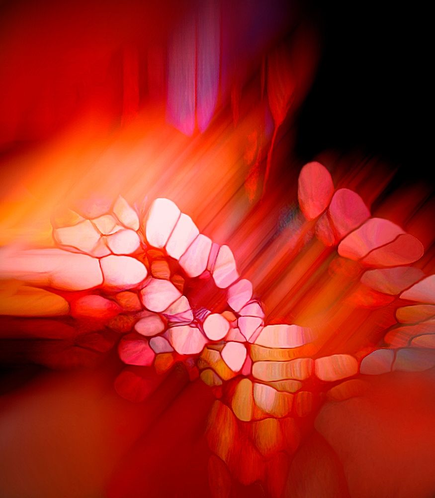 Expression in Rot art print by Renate M. Schmidt for $57.95 CAD