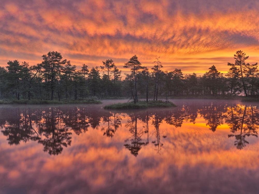 Dawn art print by Hans Strand for $57.95 CAD