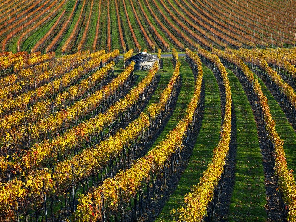 Veineyards of hautes cotes Burgundy art print by Hans Strand for $57.95 CAD