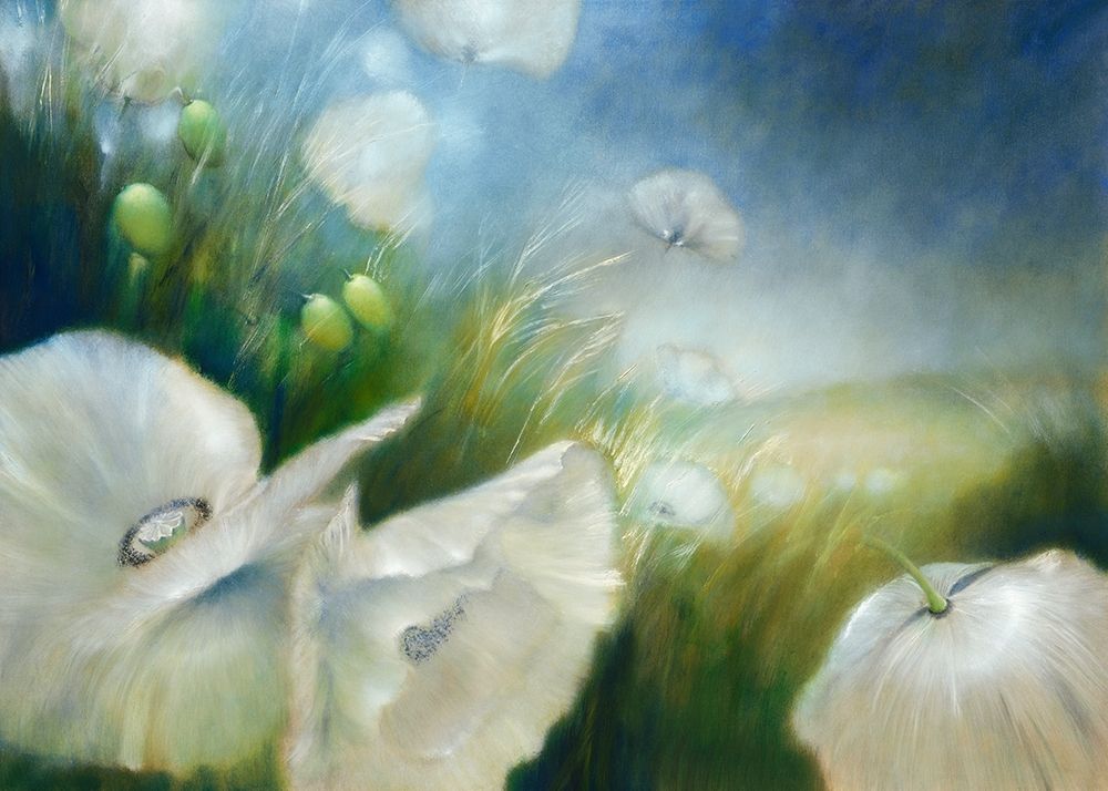 Weisser Mohn art print by Annette Schmucker for $57.95 CAD