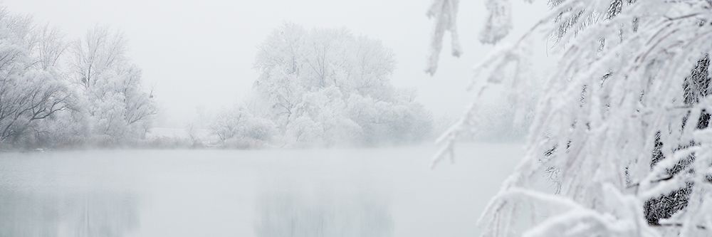 Winterlandschaft I art print by Peter Hillert for $57.95 CAD