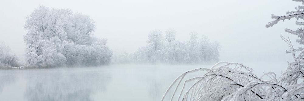 Winterlandschaft II art print by Peter Hillert for $57.95 CAD