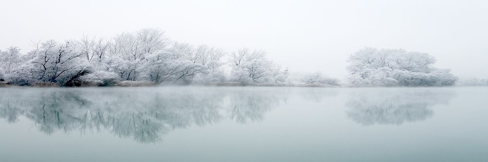 Winterlandschaft III art print by Peter Hillert for $57.95 CAD