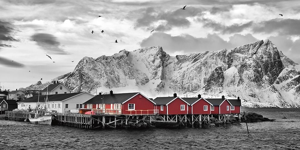 Lofoten Nahe Reine mit roten Hutten art print by Rolf Fischer for $57.95 CAD
