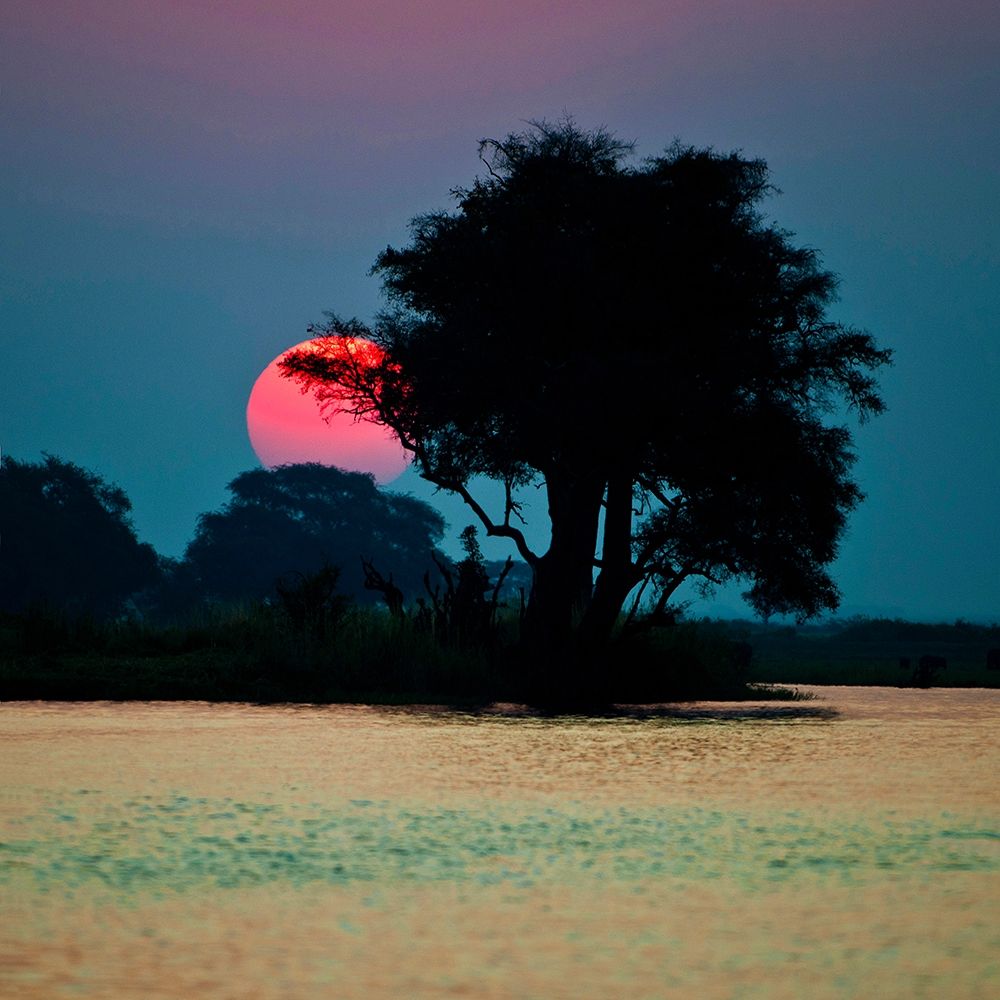 River of Tranquility art print by Ulf Brommelhorster for $57.95 CAD
