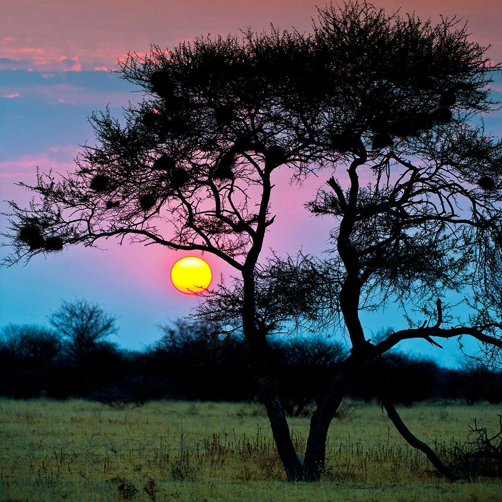 End of the Day art print by Ulf Brommelhorster for $57.95 CAD