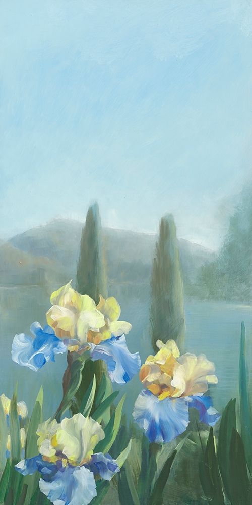Isola Bella III art print by Sylvie Vernageau for $57.95 CAD