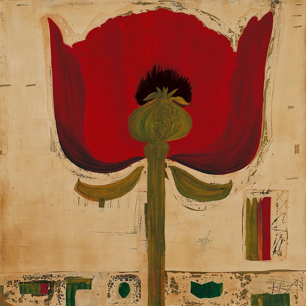 Blutenanatomie: Mohnblumen art print by Rose Richter-Armgart for $57.95 CAD