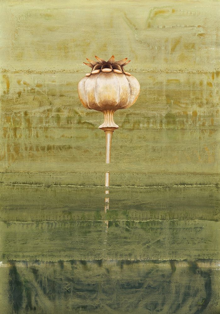 Papaverbol art print by Clema for $57.95 CAD