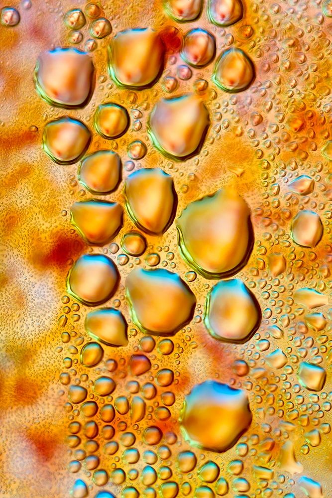 Feuerwasser art print by NUPHO for $57.95 CAD