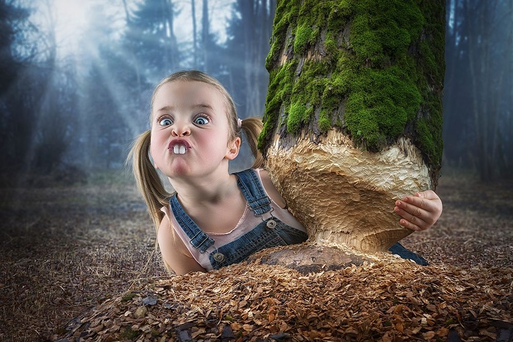Just a little Beaver art print by John Wilhelm is a Photoholic for $57.95 CAD