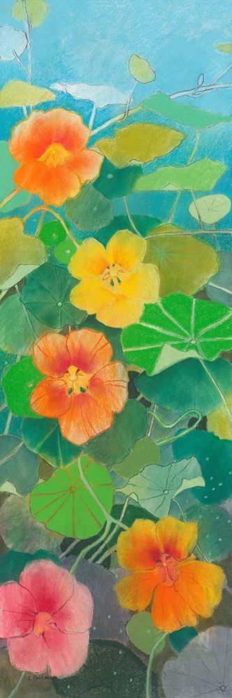 Nasturtium 1 art print by Loes Botman for $57.95 CAD
