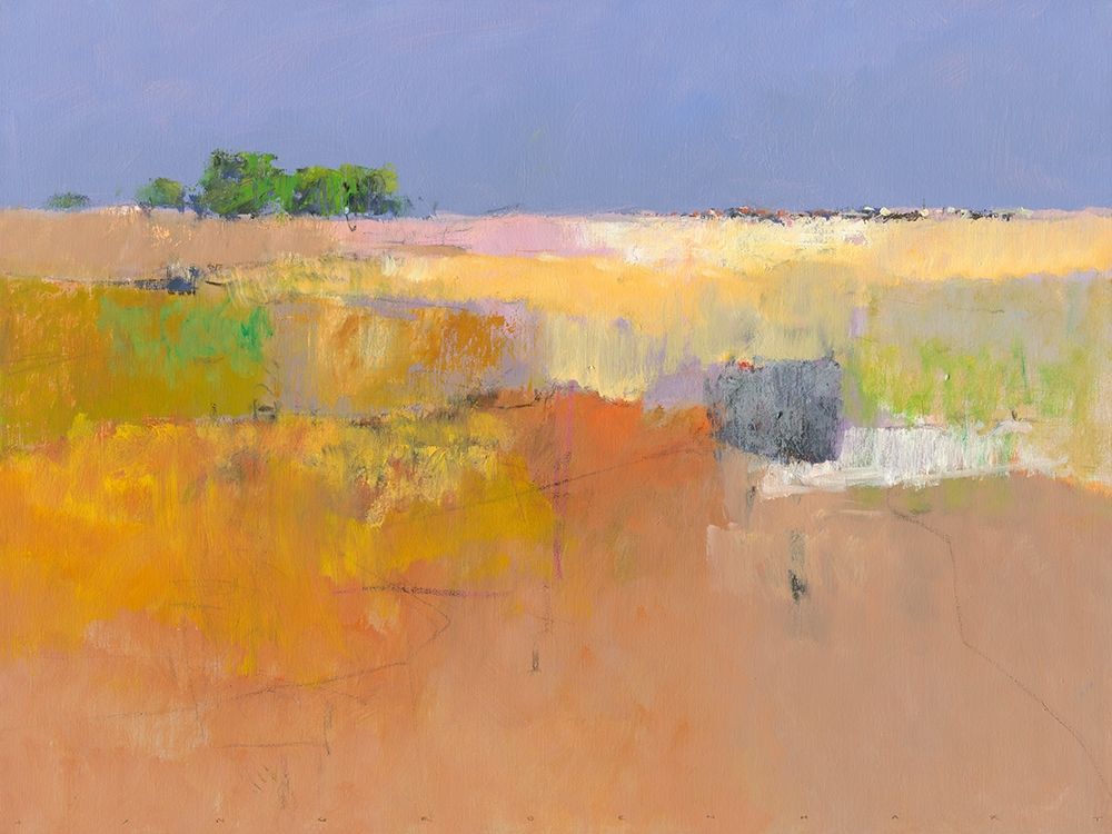 Meadow in Color art print by Jan Groenhart for $57.95 CAD