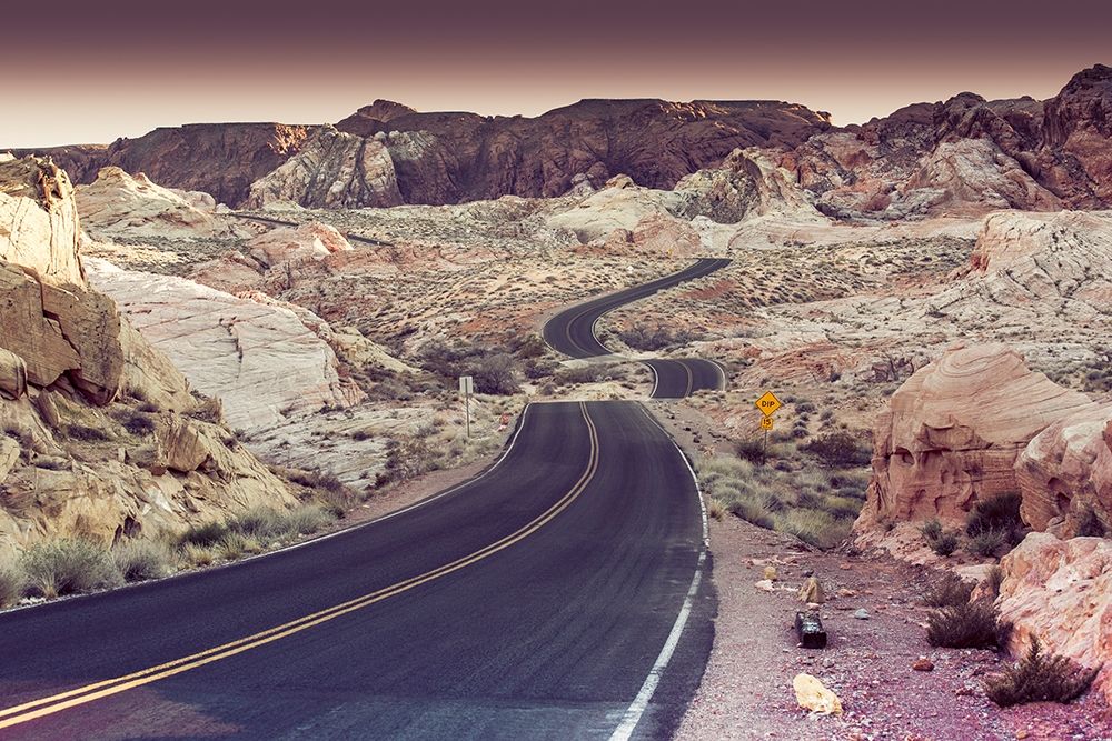 Snake Road art print by Tom Lichtenwalter for $57.95 CAD