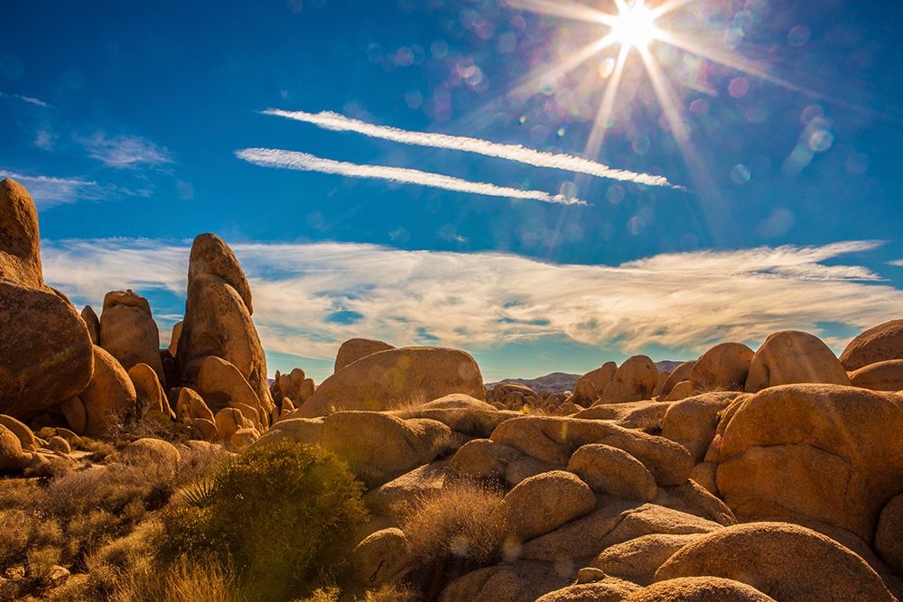 Yellow Rocks art print by Tom Lichtenwalter for $57.95 CAD