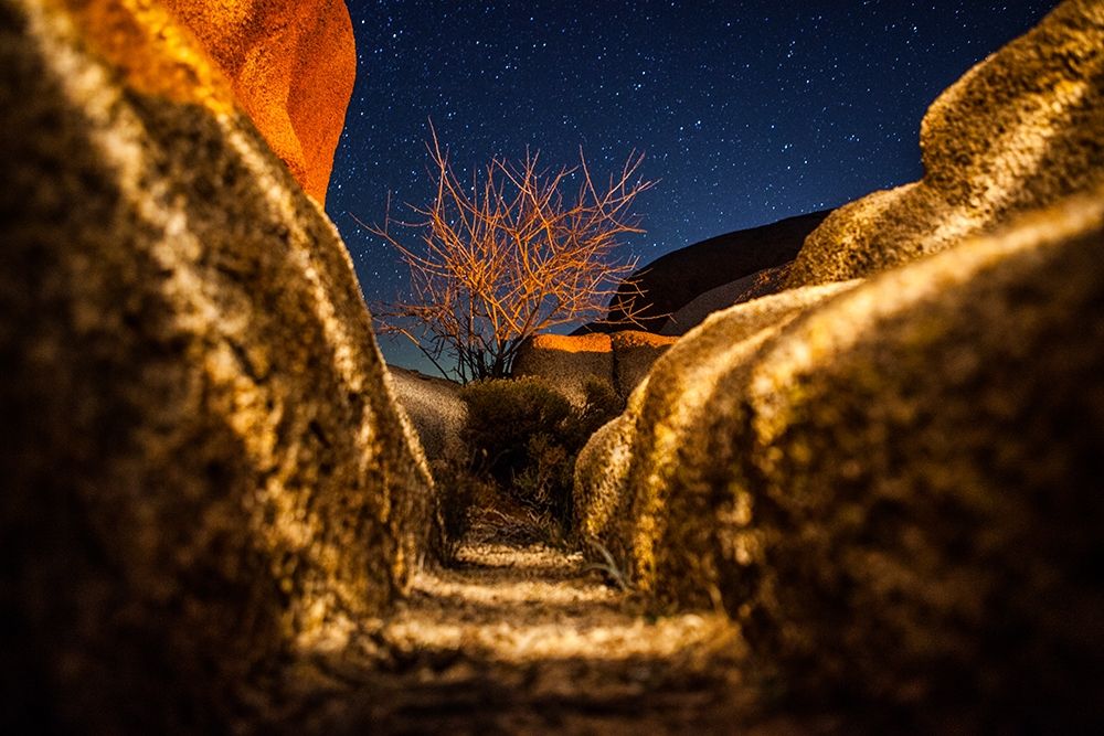 Way to the Stars art print by Tom Lichtenwalter for $57.95 CAD