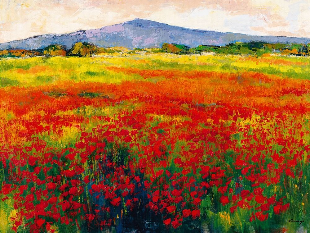 Amapolas III art print by Jesus P. Camargo for $57.95 CAD