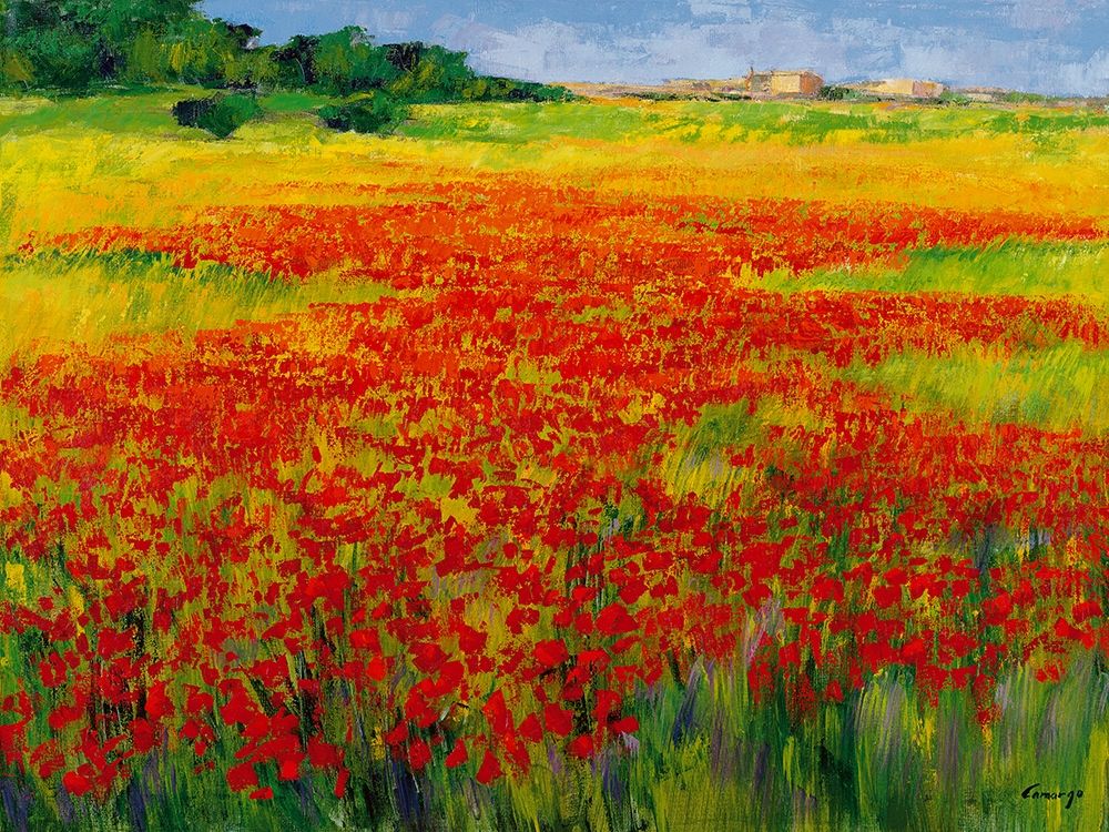 Amapolas IV art print by Jesus P. Camargo for $57.95 CAD
