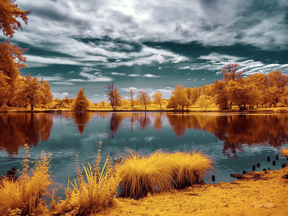 Majolan s Park Reflections II-Bordeaux - Infrared and UV Photography art print by Tonee Gee for $57.95 CAD