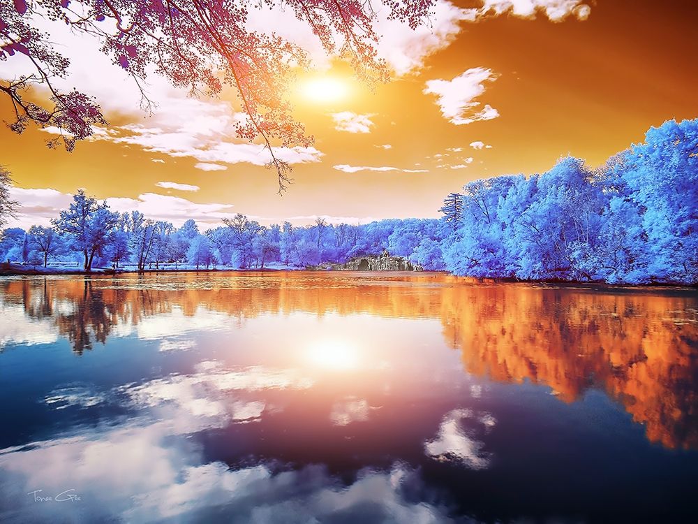 Double Reflections-Majolan s Park-Bordeaux - Infrared Photography art print by Tonee Gee for $57.95 CAD