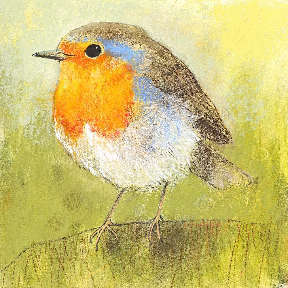 Rotkehlchen art print by Loes Botman for $57.95 CAD