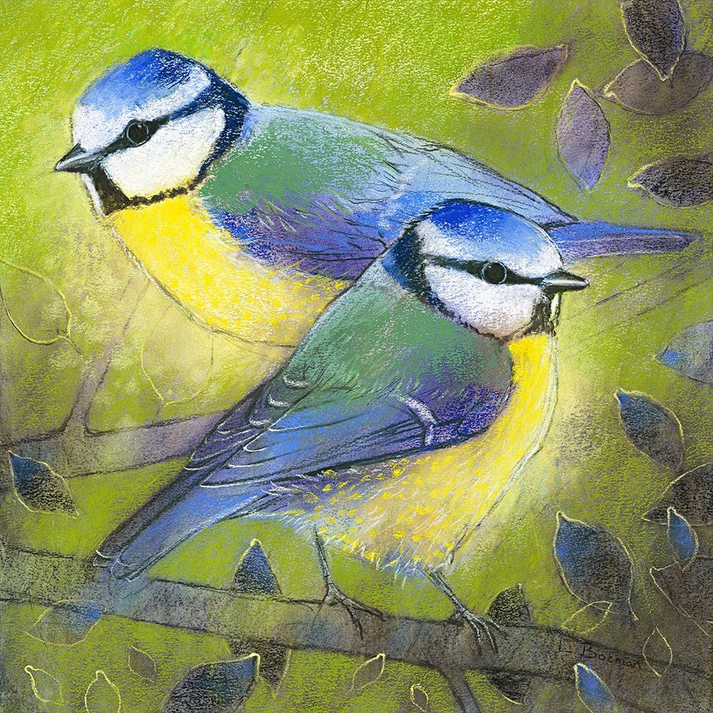 Blaumeisen art print by Loes Botman for $57.95 CAD