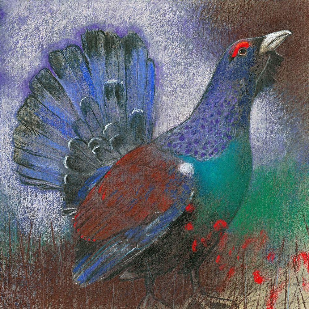 Auerhuhn art print by Loes Botman for $57.95 CAD