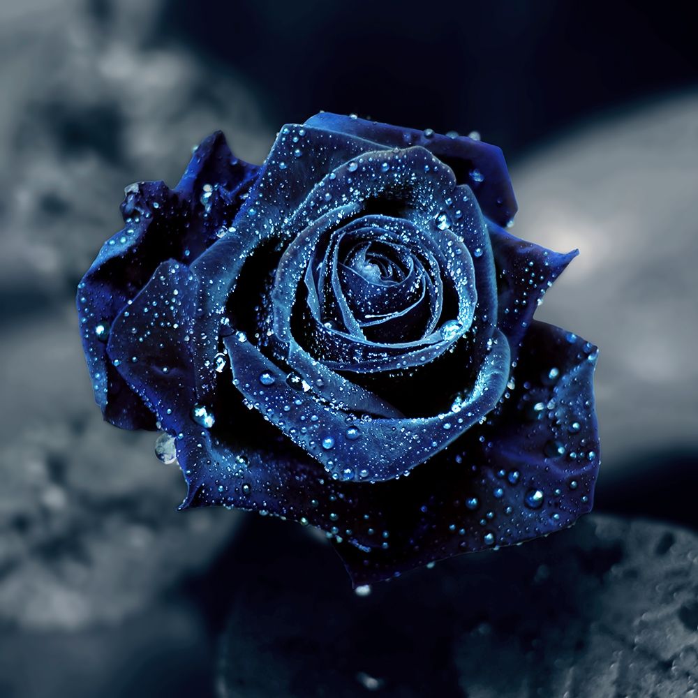 Crystal art print by Lily Andrea Seidel for $57.95 CAD
