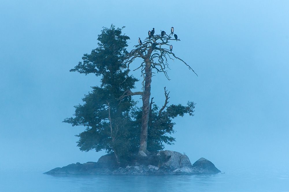 Insel im Klockesjoen art print by Leo Seidel for $57.95 CAD