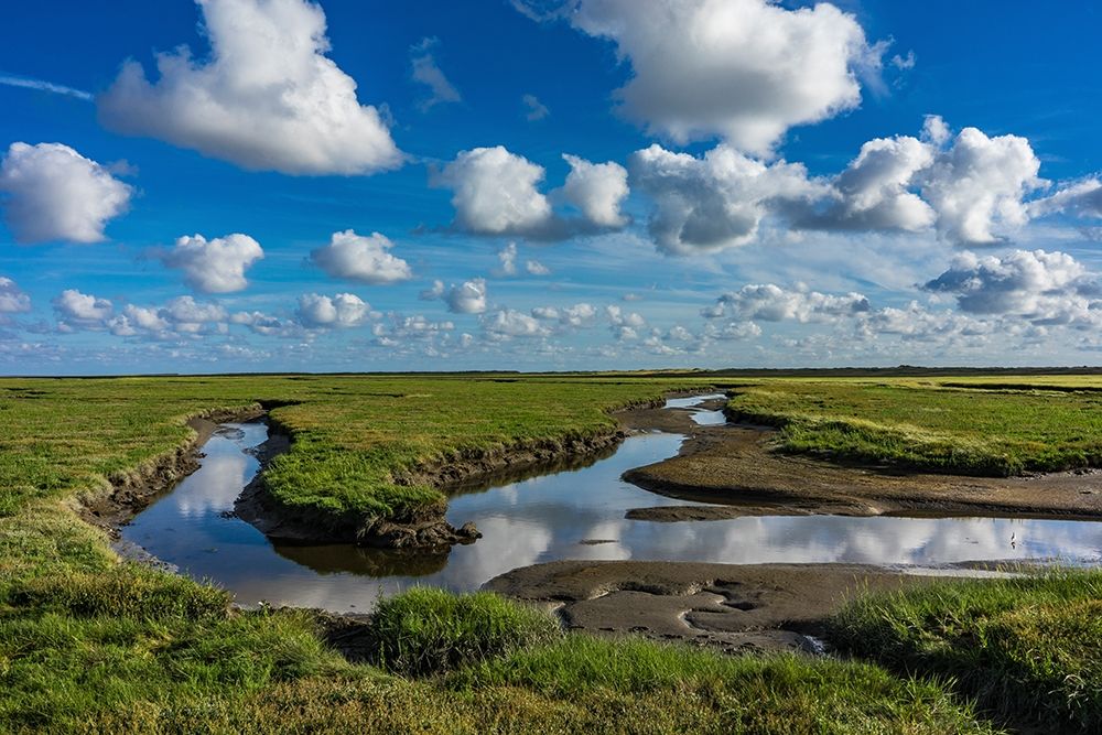 Water and Earth art print by Tom Lichtenwalter for $57.95 CAD