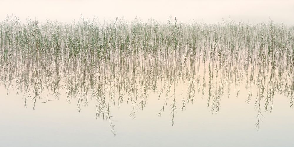 Timeless art print by Uwe Steger for $57.95 CAD
