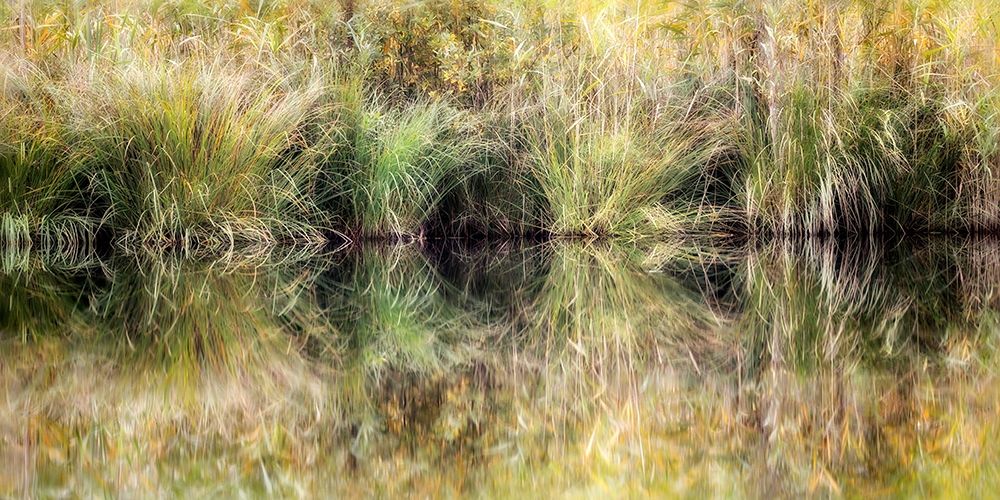 Glasgras art print by Uwe Steger for $57.95 CAD