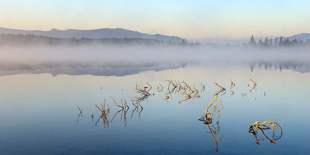 Solitude art print by Uwe Steger for $57.95 CAD