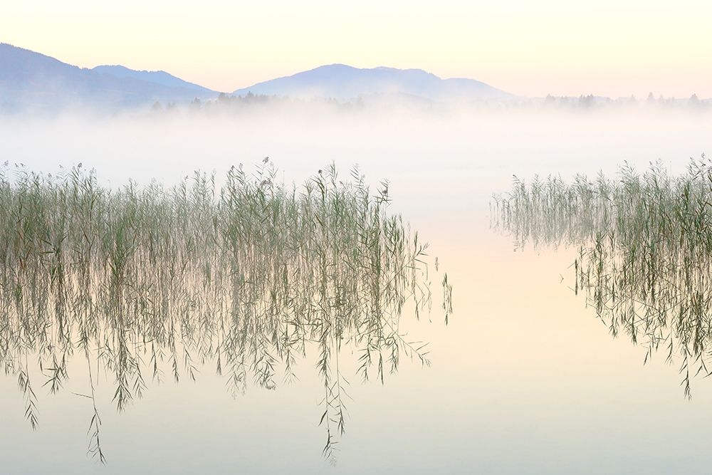 Morgenzauber art print by Uwe Steger for $57.95 CAD
