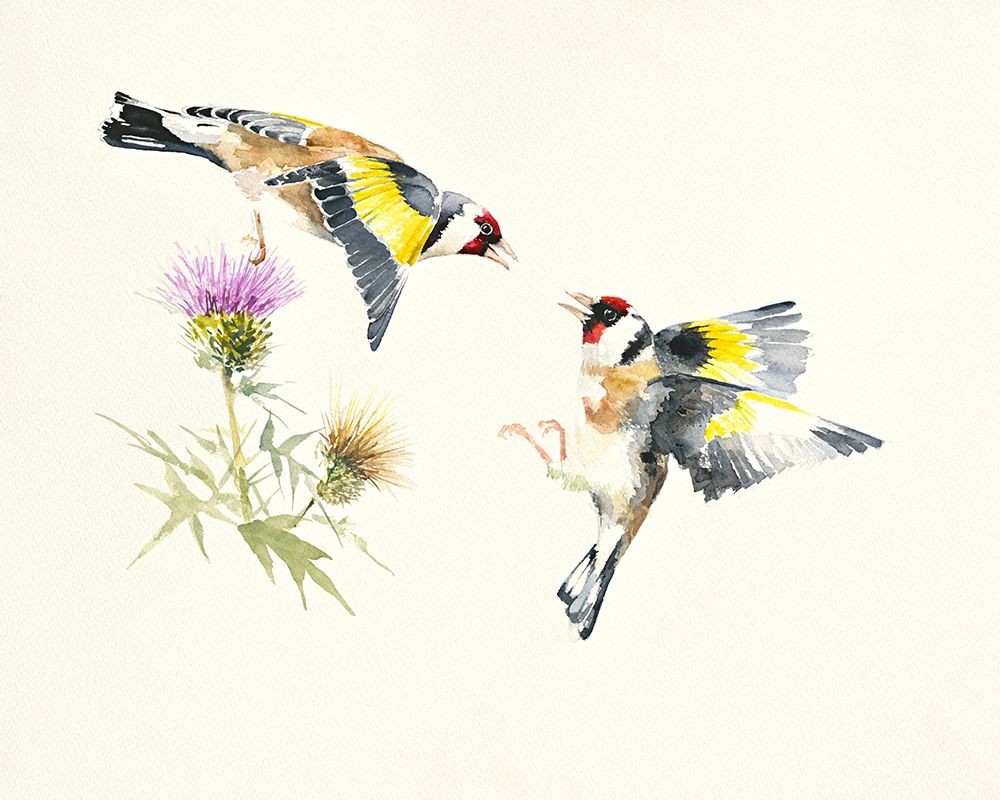 Goldfinches art print by Hilary Mayes for $57.95 CAD