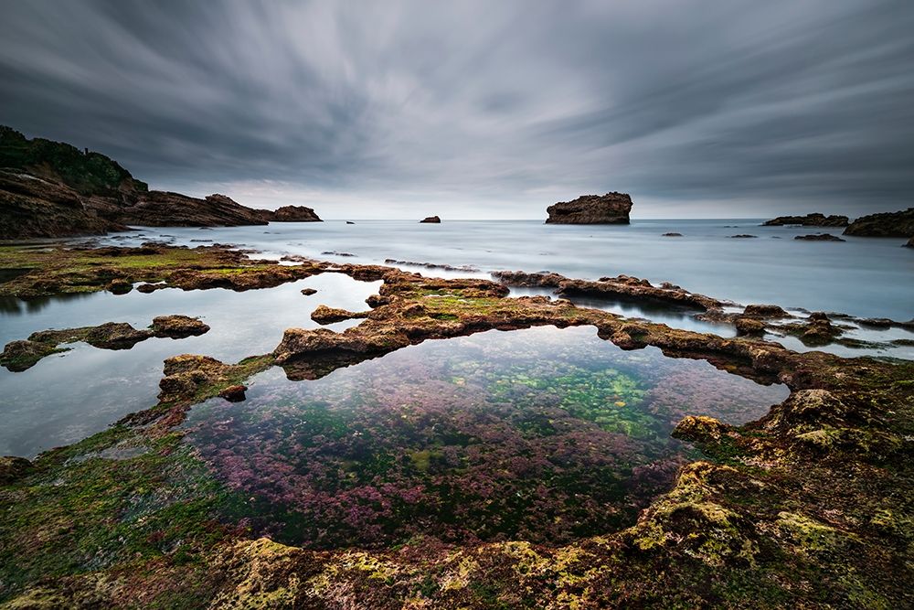 Biarritz I art print by Arnaud Bertrande for $57.95 CAD