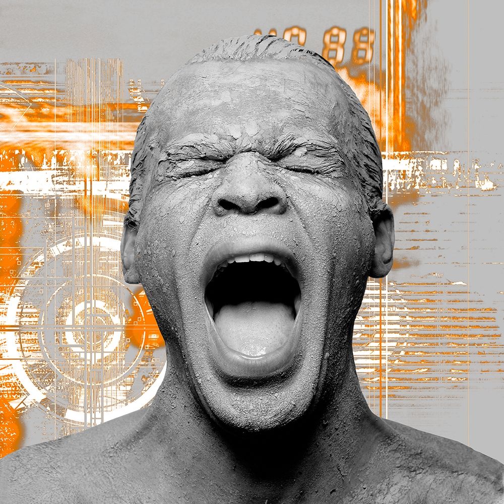 The Voice art print by Peter Hillert for $57.95 CAD