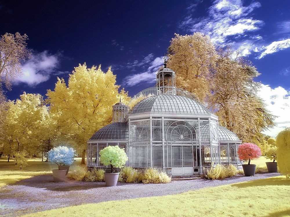 Glasshouse Eiffel art print by Tonee Gee for $57.95 CAD