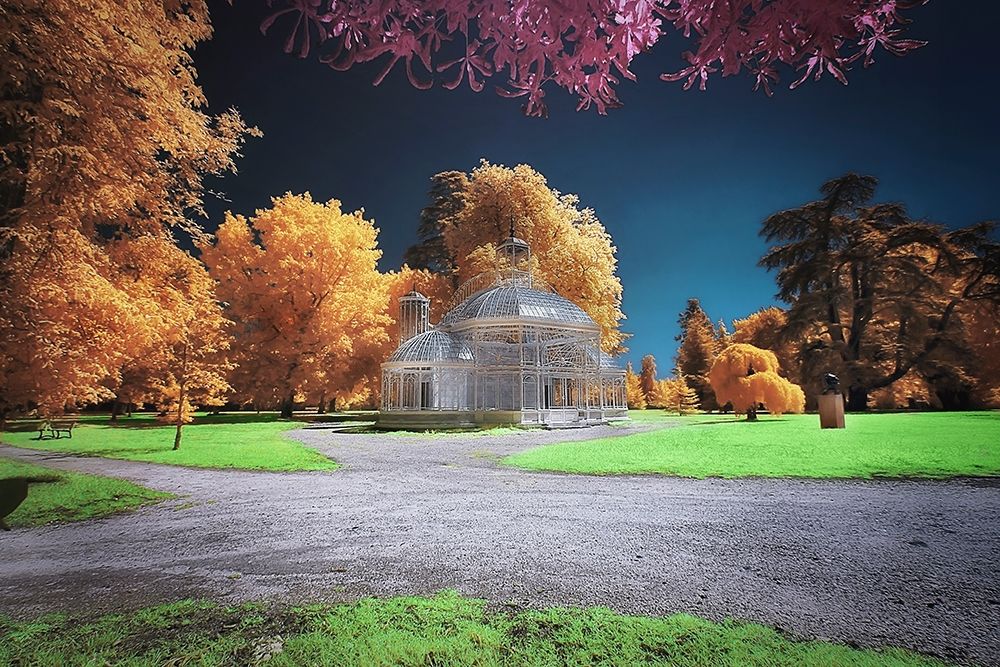 Gradignan-Glasshouse I art print by Tonee Gee for $57.95 CAD