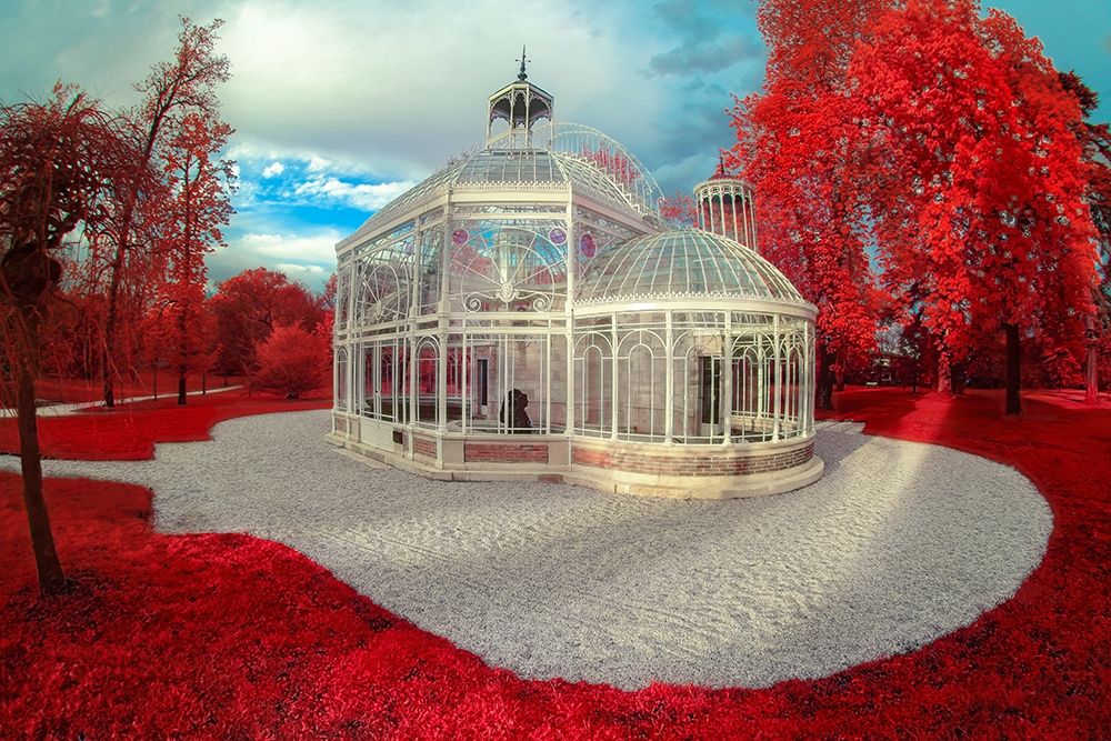 Gradignan-Glasshouse II art print by Tonee Gee for $57.95 CAD
