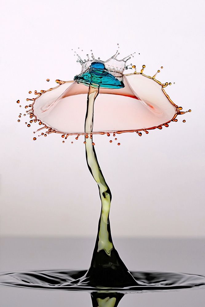 Ubrella Crown art print by Manuel Sanchez for $57.95 CAD